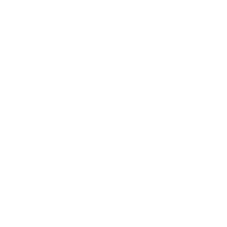 insurance (1)